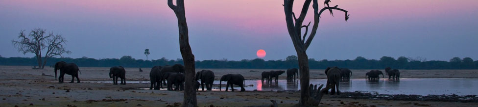 Bomani Tented Lodge